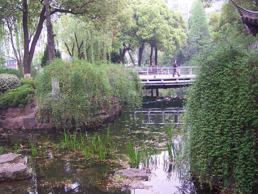 100_9871.jpg