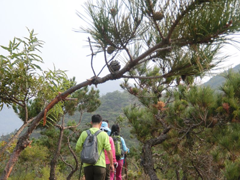 CIMG1535_副本.jpg