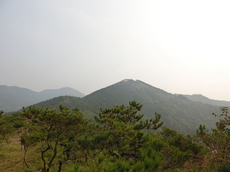 CIMG1533_副本.jpg