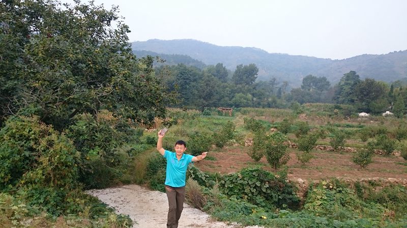 DSC_0037_副本.jpg