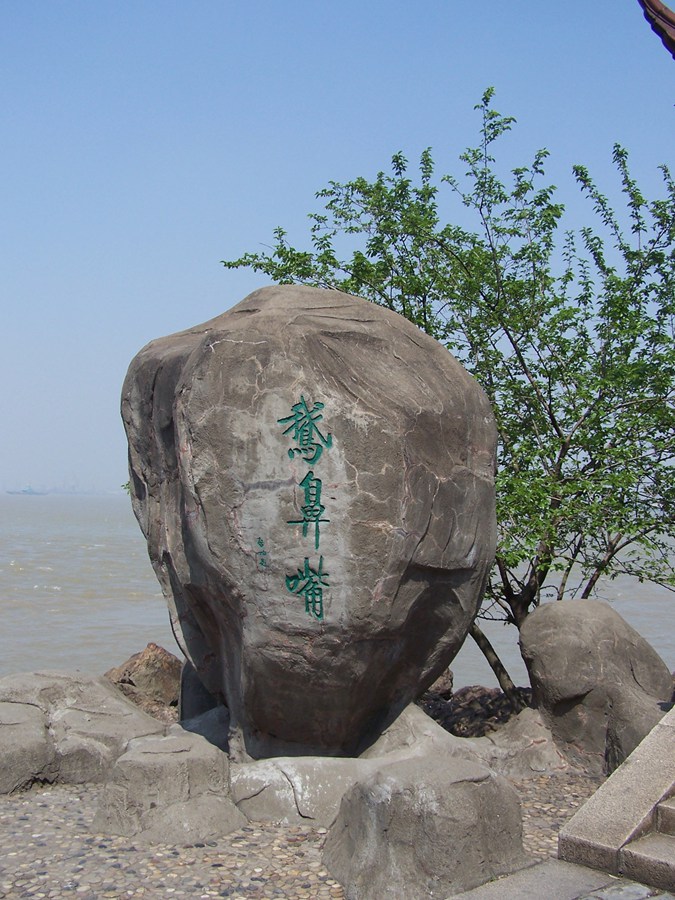 100_9698.jpg