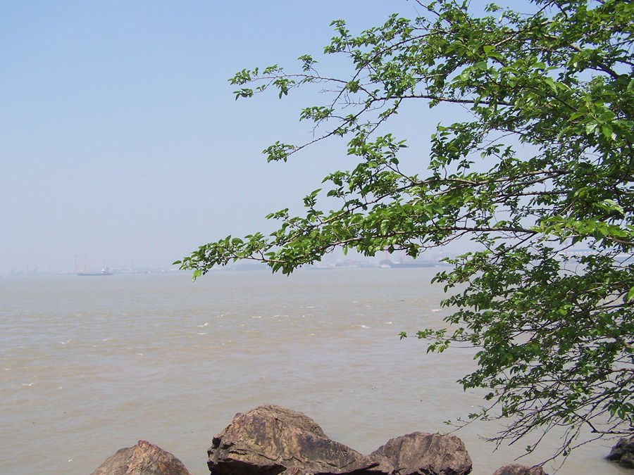 100_9702.jpg