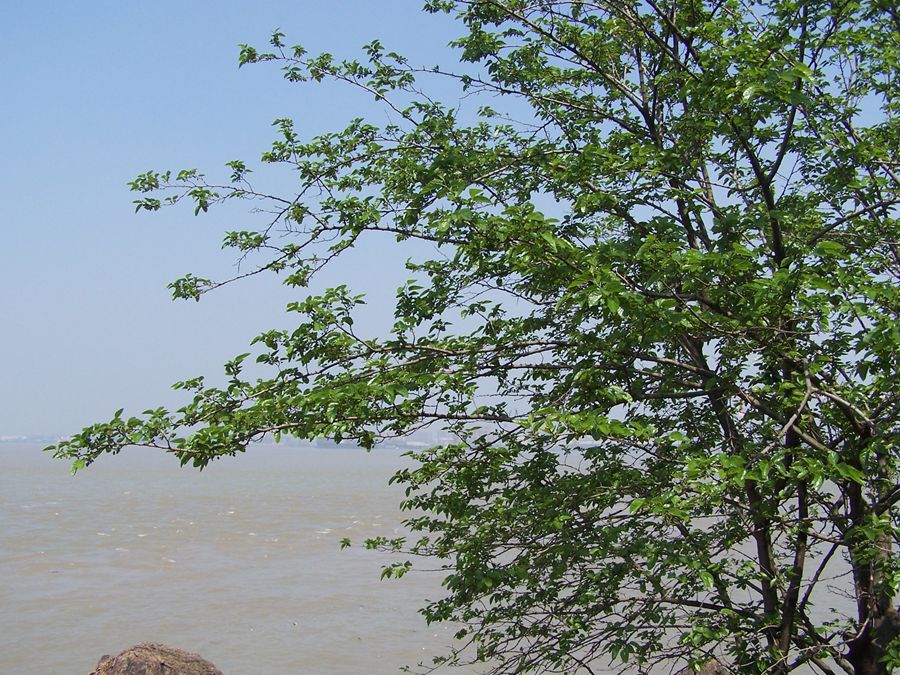 100_9703.jpg