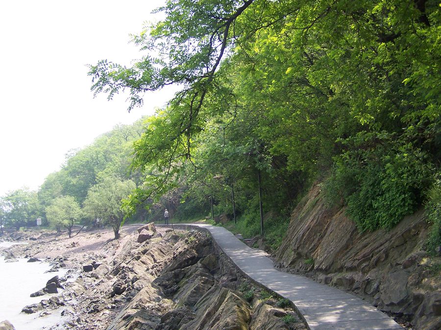 100_9711.jpg