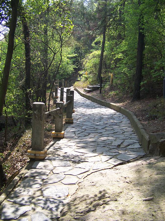 100_9750.jpg