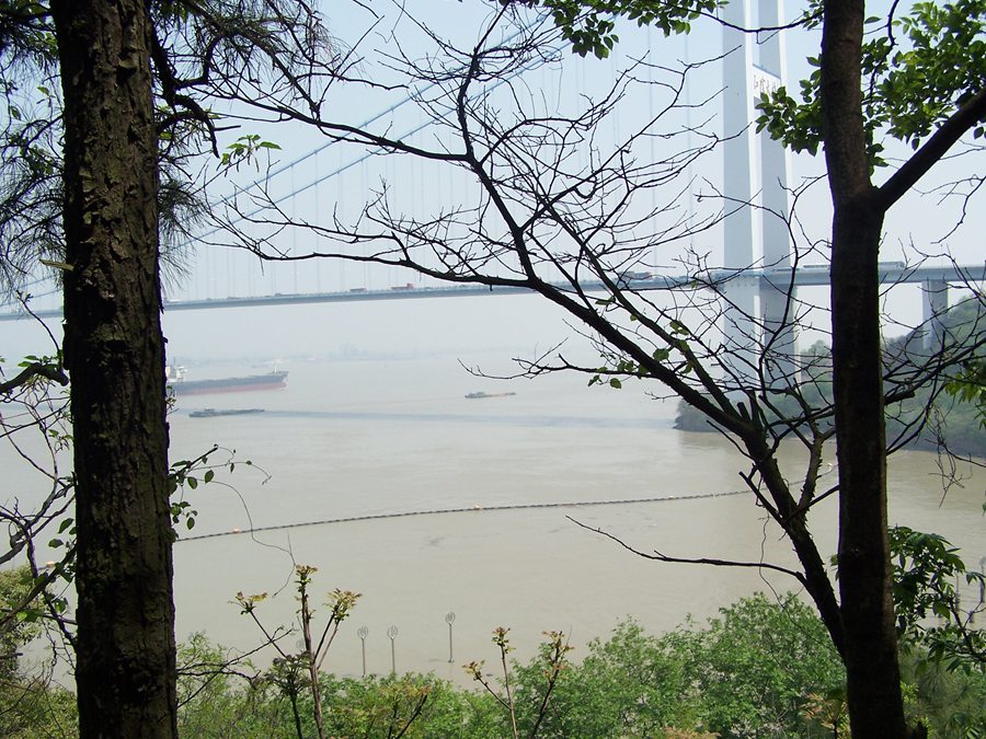 100_9753.jpg
