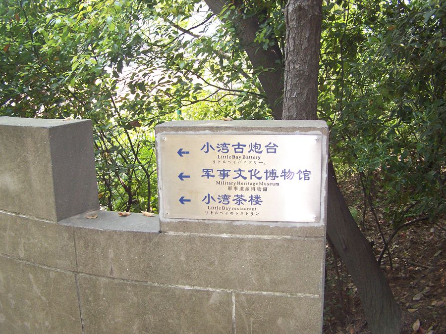 100_9758.jpg