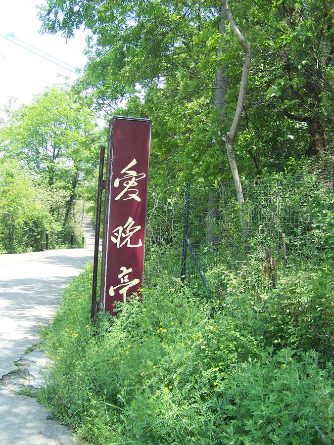 100_9799.jpg