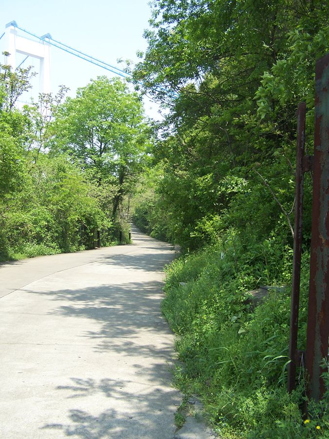 100_9800.jpg