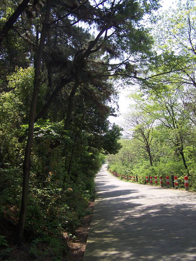 100_9801.jpg