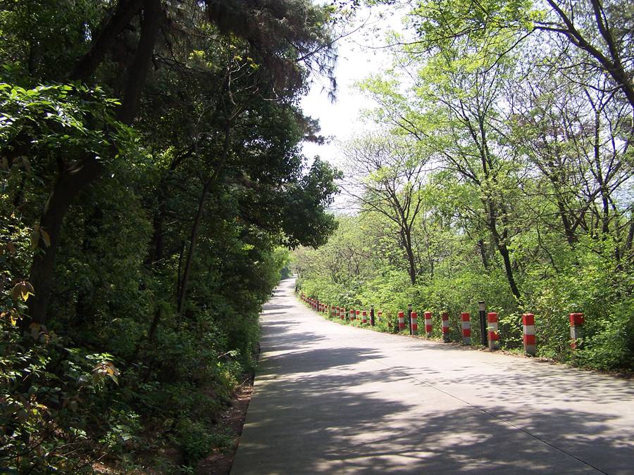 100_9803.jpg