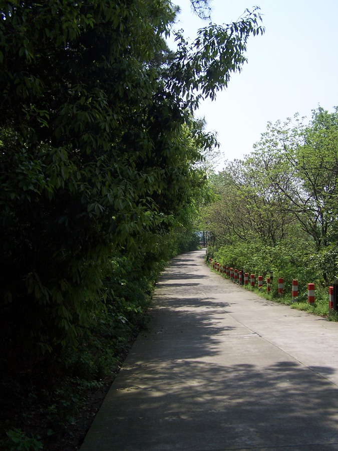 100_9804.jpg
