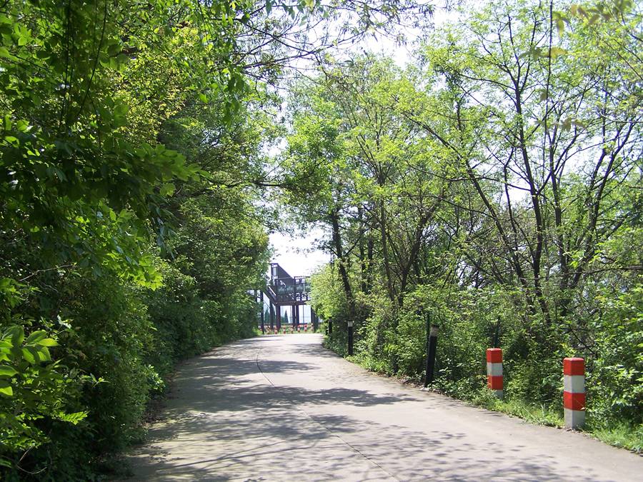 100_9806.jpg