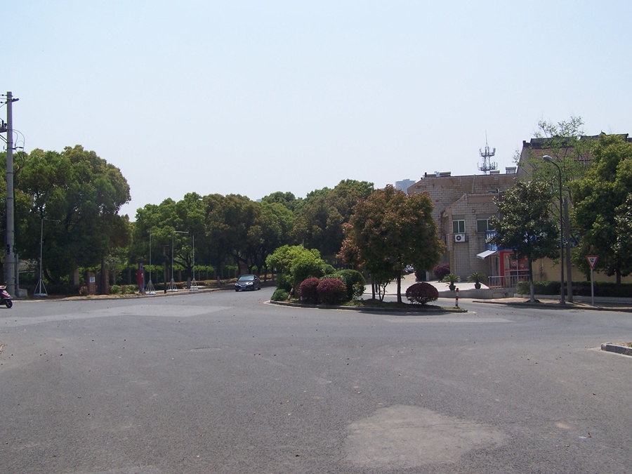 100_9812.jpg