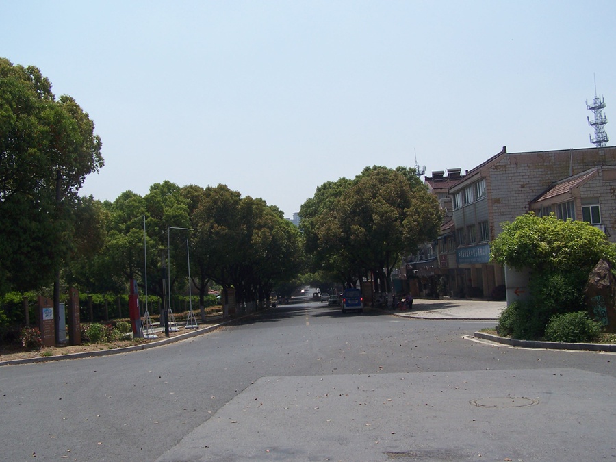 100_9813.jpg
