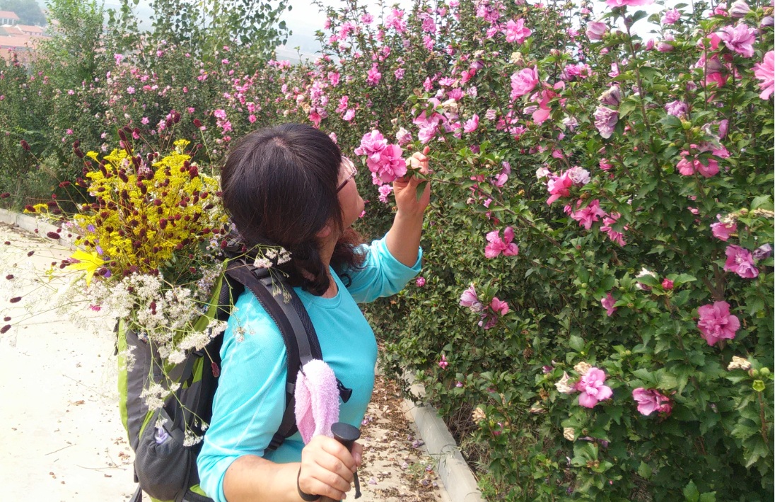 QQ图片20150924132729.jpg
