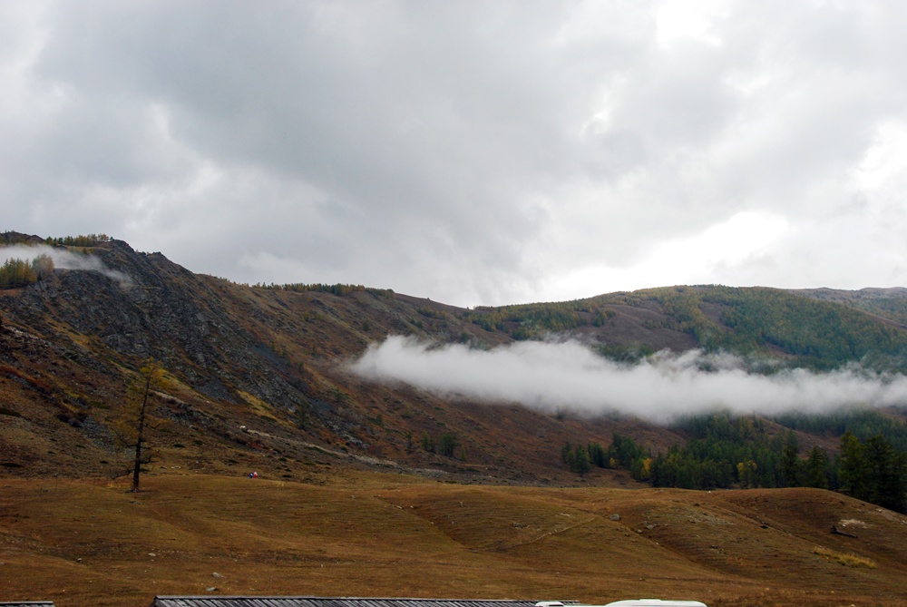 DSC_8268.jpg