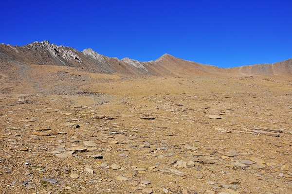 DSC_0270.jpg