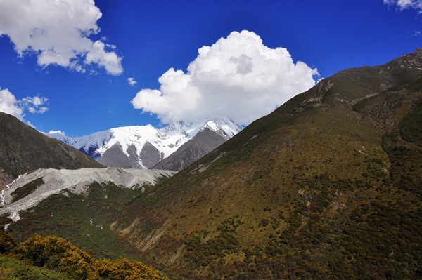 DSC_0455.jpg