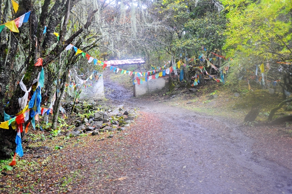 DSC_0525.jpg