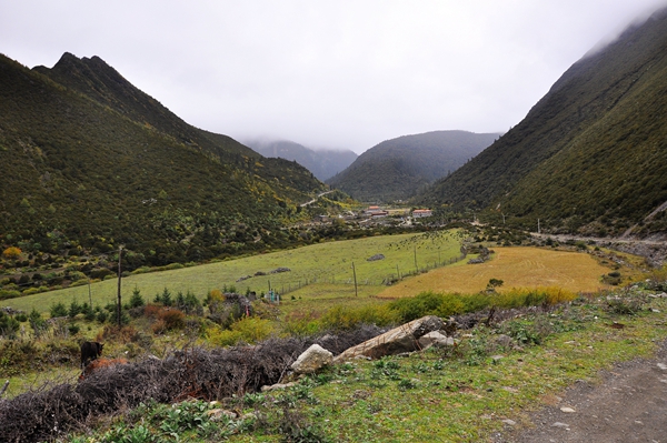 DSC_0541.jpg