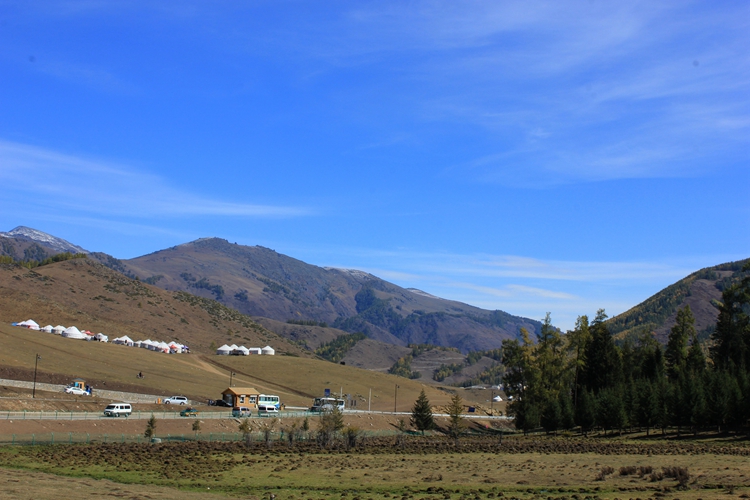 IMG_3320.jpg