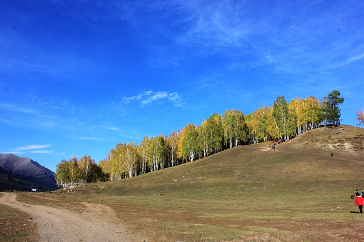 IMG_3348.jpg