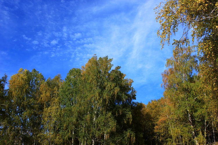 IMG_3354.jpg