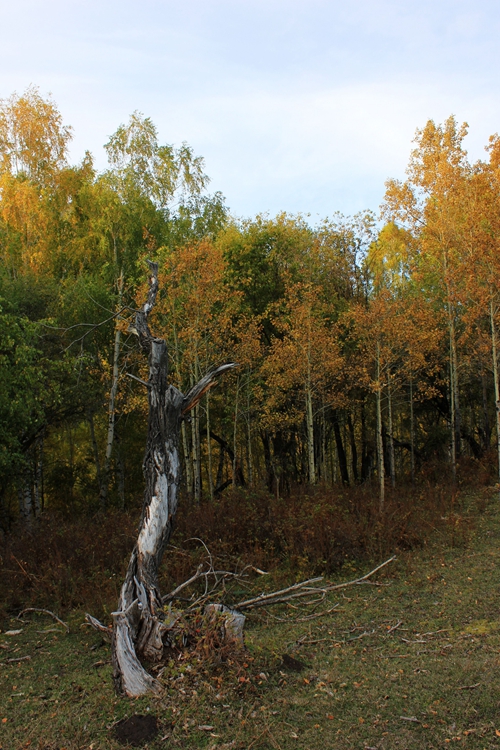 IMG_3412.jpg