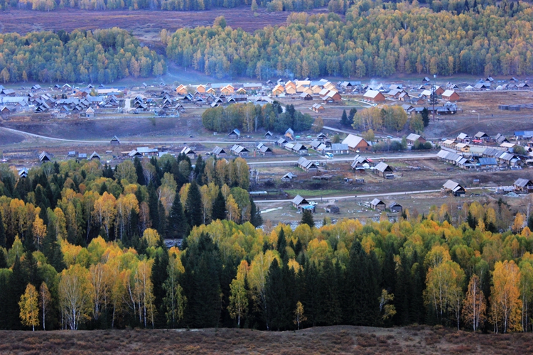 IMG_3520.jpg