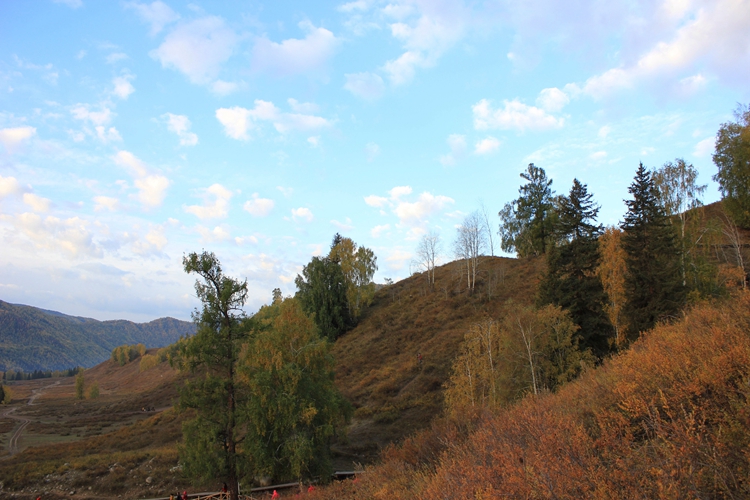 IMG_3589.jpg
