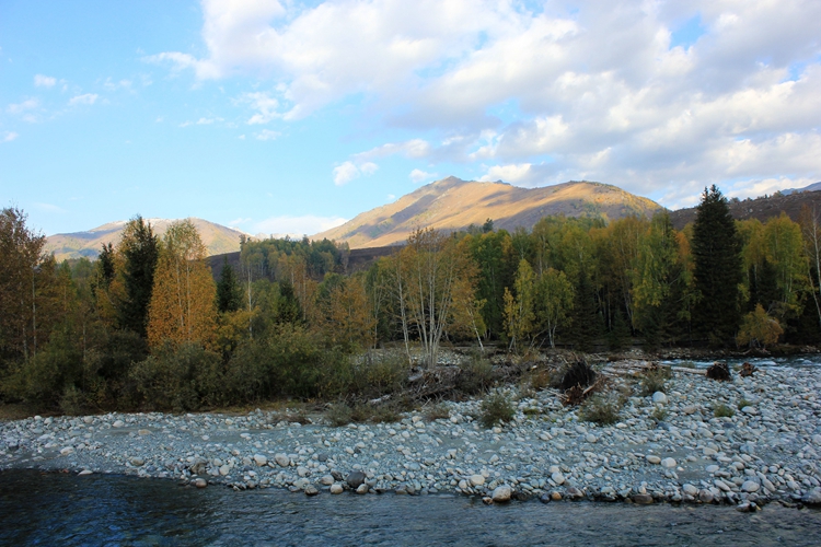IMG_3623.jpg
