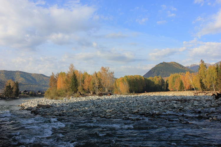IMG_3657.jpg