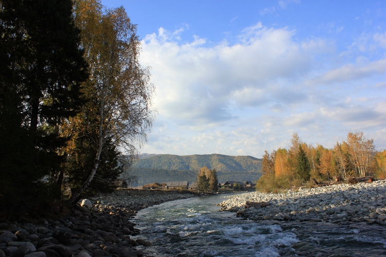 IMG_3661.jpg