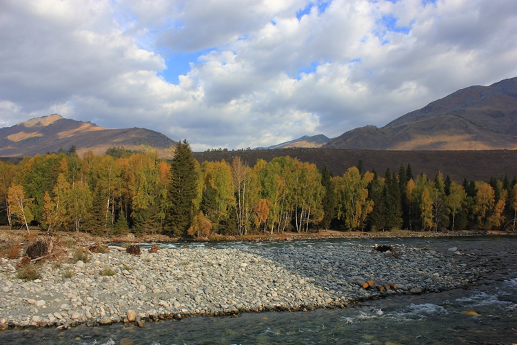 IMG_3677.jpg