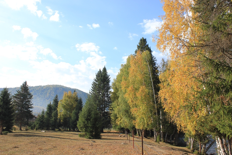 IMG_3734.jpg