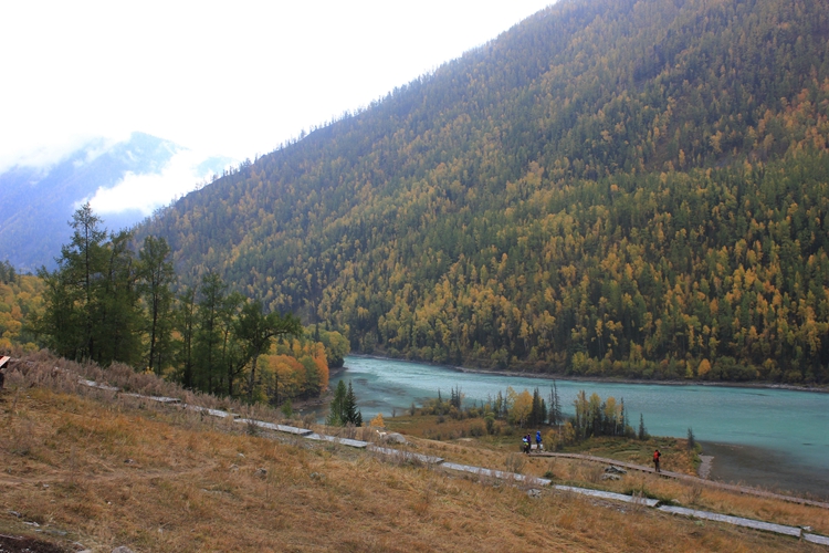 IMG_4272.jpg