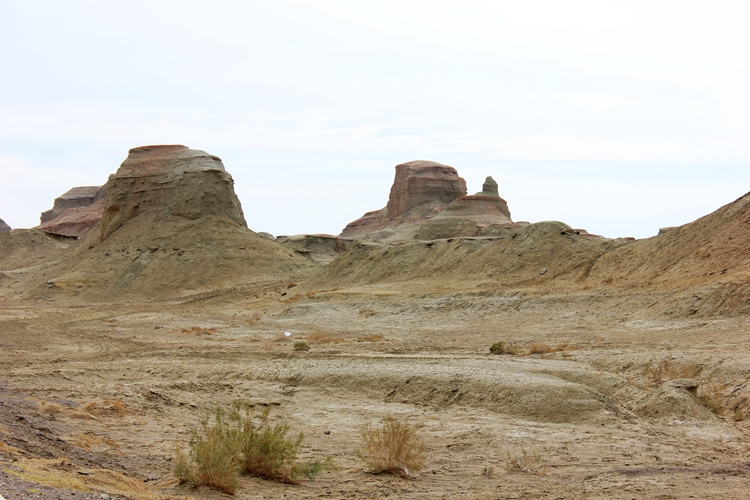 IMG_4442.jpg