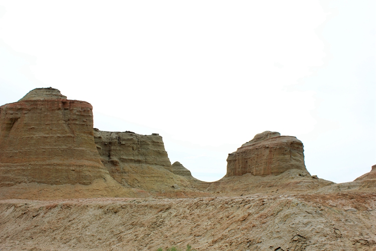 IMG_4452.jpg