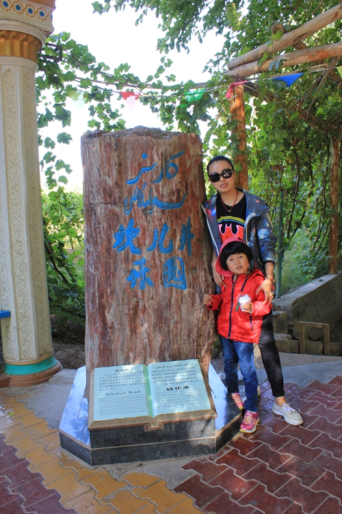 IMG_4575.jpg