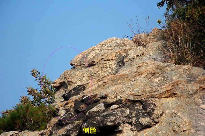 108_0960_缩小大小.JPG
