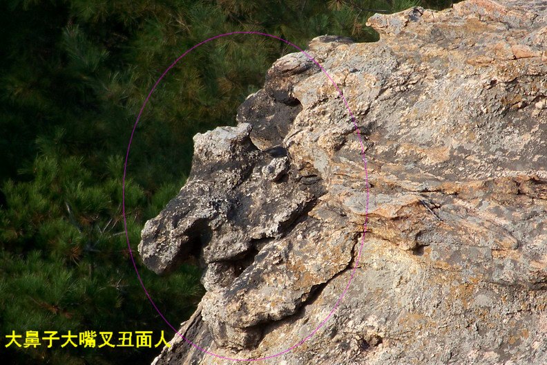 108_0966_缩小大小.JPG