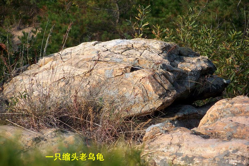 108_0967_缩小大小.JPG