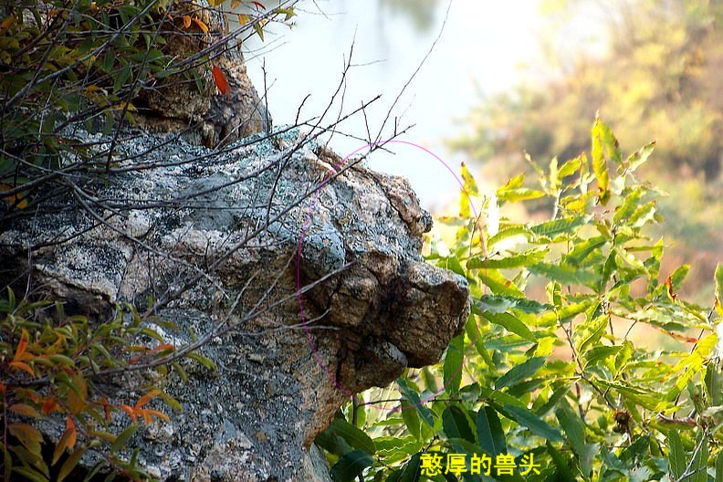 108_0972_缩小大小.JPG