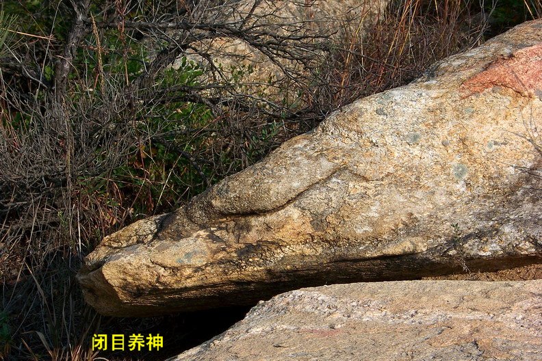 108_0974_缩小大小.JPG