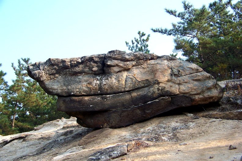 108_0977_缩小大小.JPG
