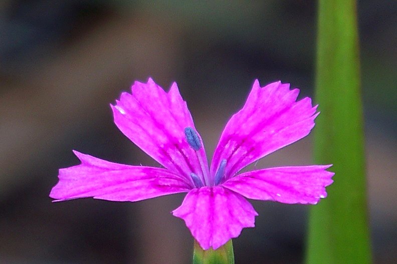 108_0983_缩小大小.JPG