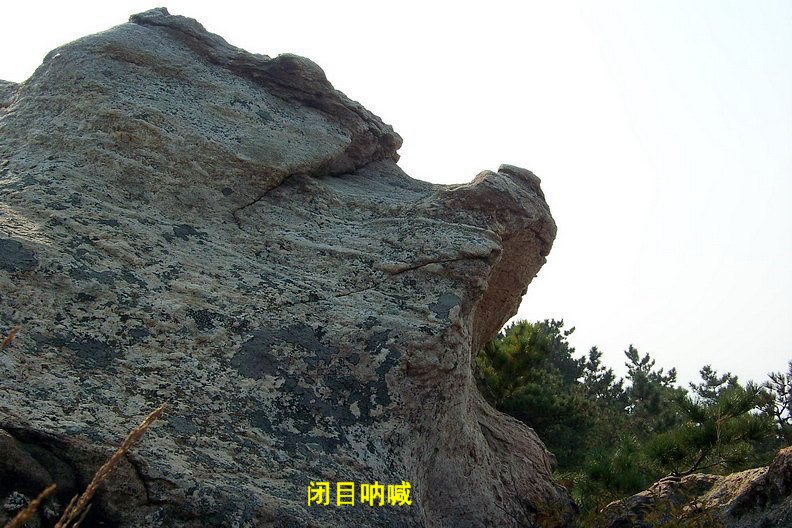 108_0989_缩小大小.jpg