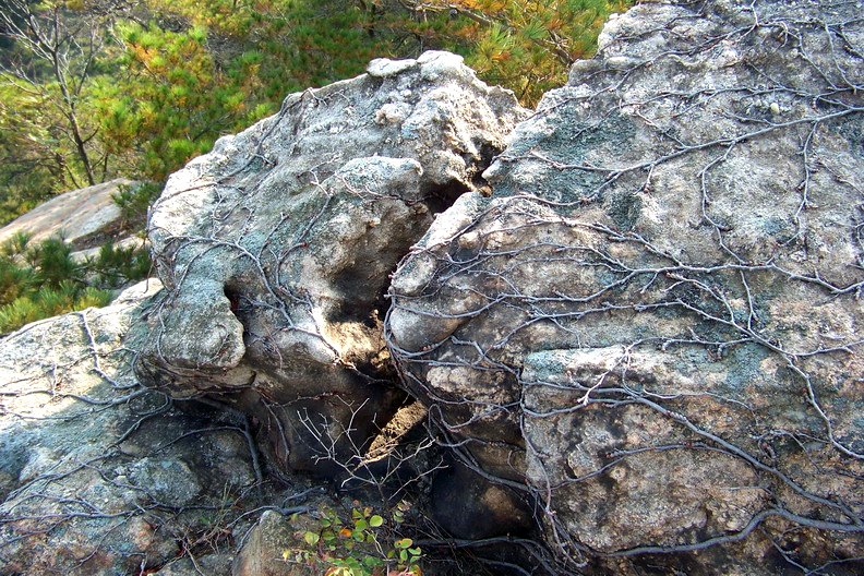 108_0995_缩小大小.JPG