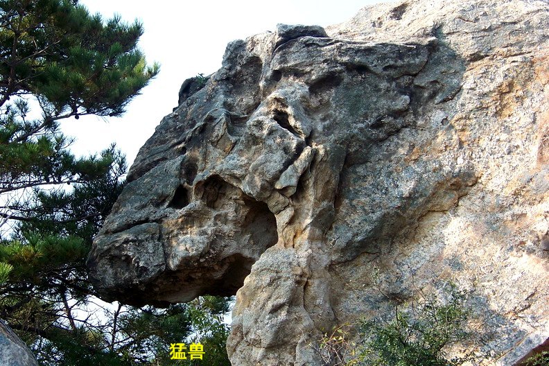 108_0998_缩小大小.JPG